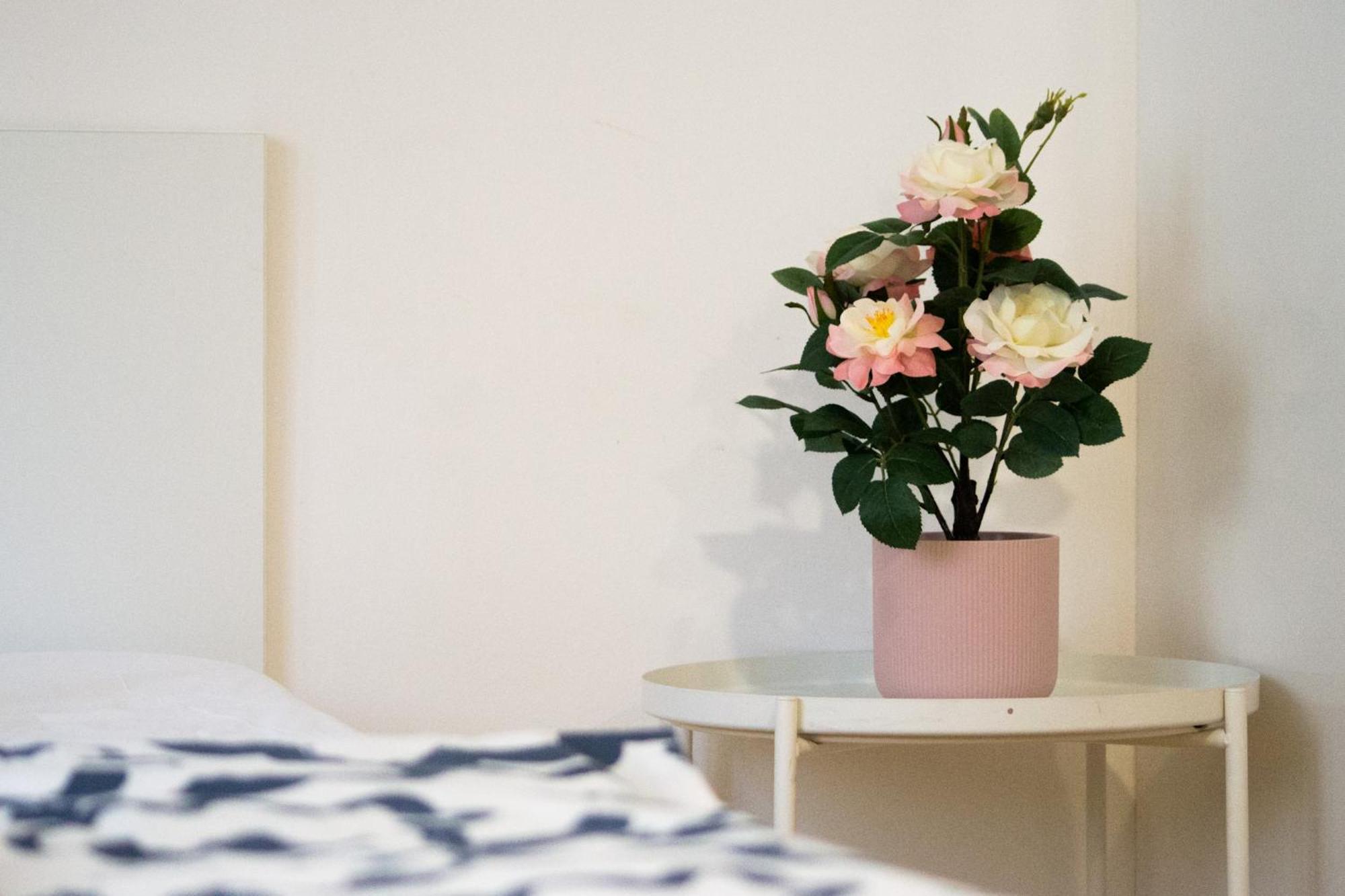 דירות ברנו Apartman Vlna מראה חיצוני תמונה
